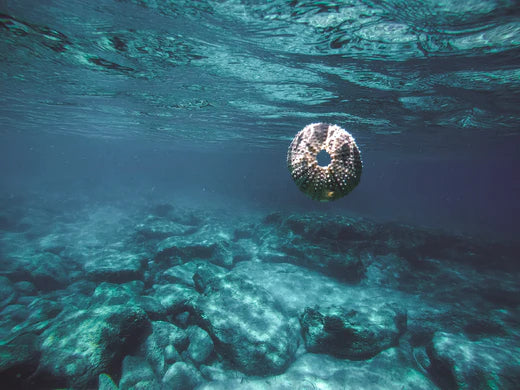 For Cleaner Oceans
