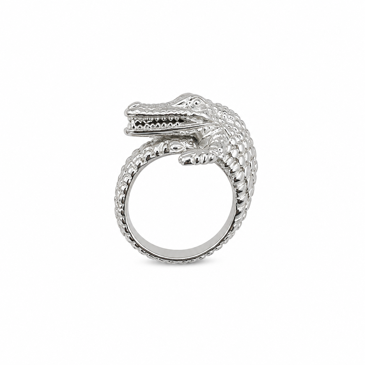 Keeper of Time Ring | Silver